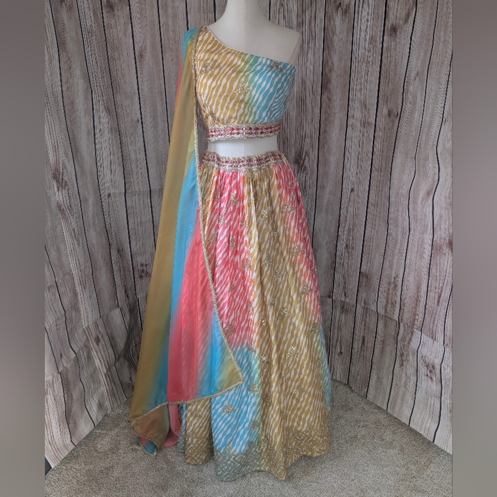 Beautiful colorful Lehenga Choli Set - Picture 17 of 17